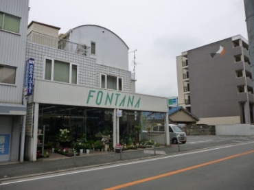 大阪府豊中市の花屋 グリーンハウス フォンタナにフラワーギフトはお任せください 当店は 安心と信頼の花キューピット加盟店です 花キューピットタウン